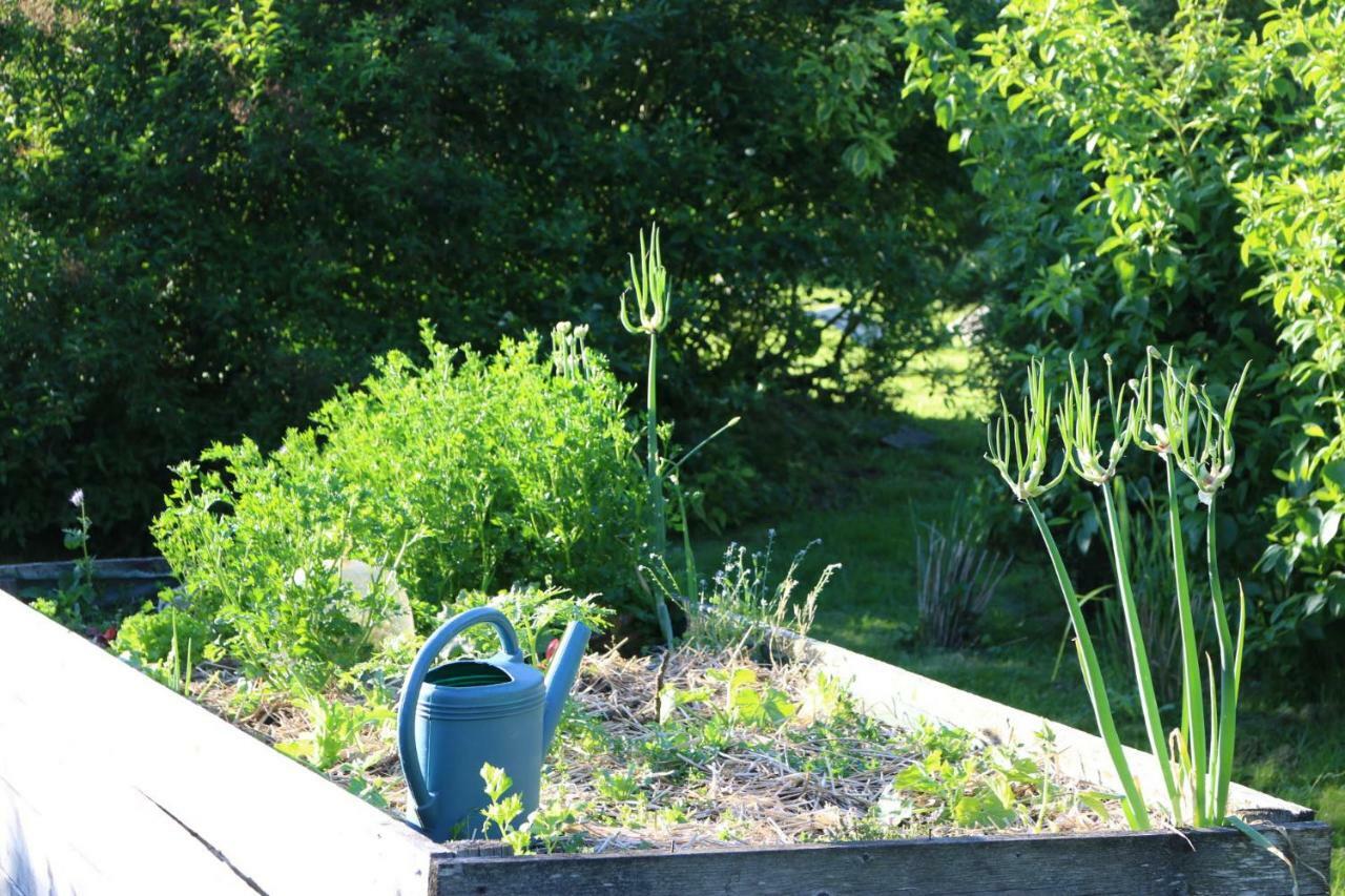 Bed and Breakfast Le Bourgis La Chapelle-Montligeon Exterior foto