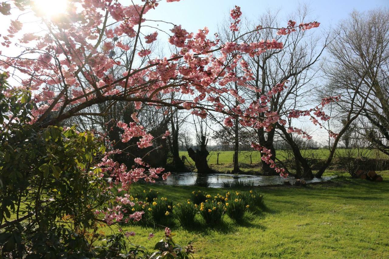 Bed and Breakfast Le Bourgis La Chapelle-Montligeon Exterior foto